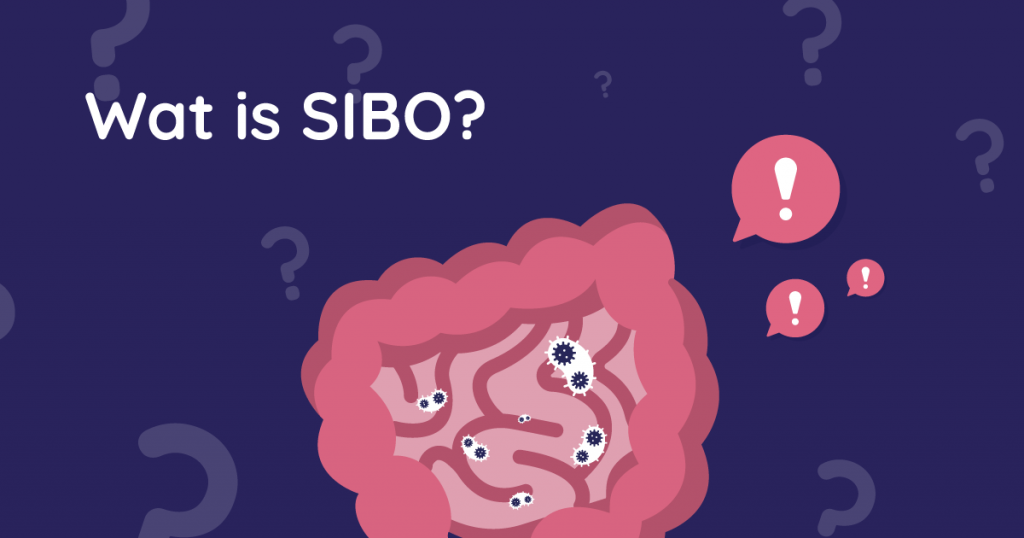 Wat is SIBO